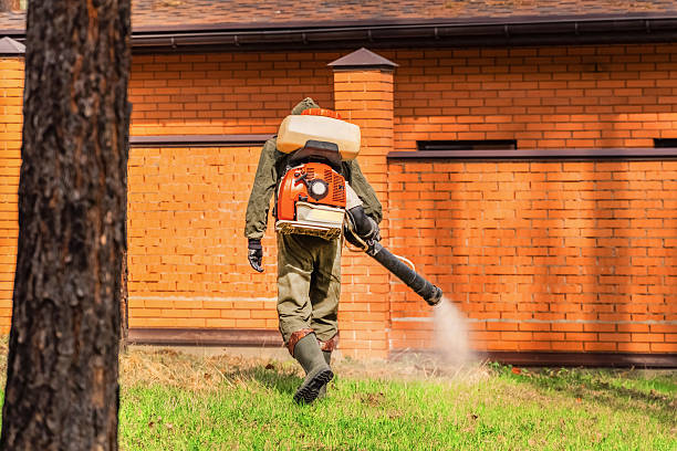 Trusted Rodent Control service in Fortuna Foothills, AZ - Nex Pest Control